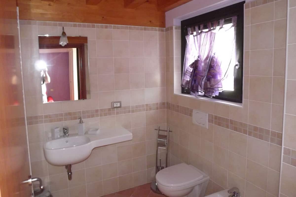 Klassieke tweepersoonskamer | Badkamer | Een douche, een regendouche, gratis toiletartikelen, een haardroger