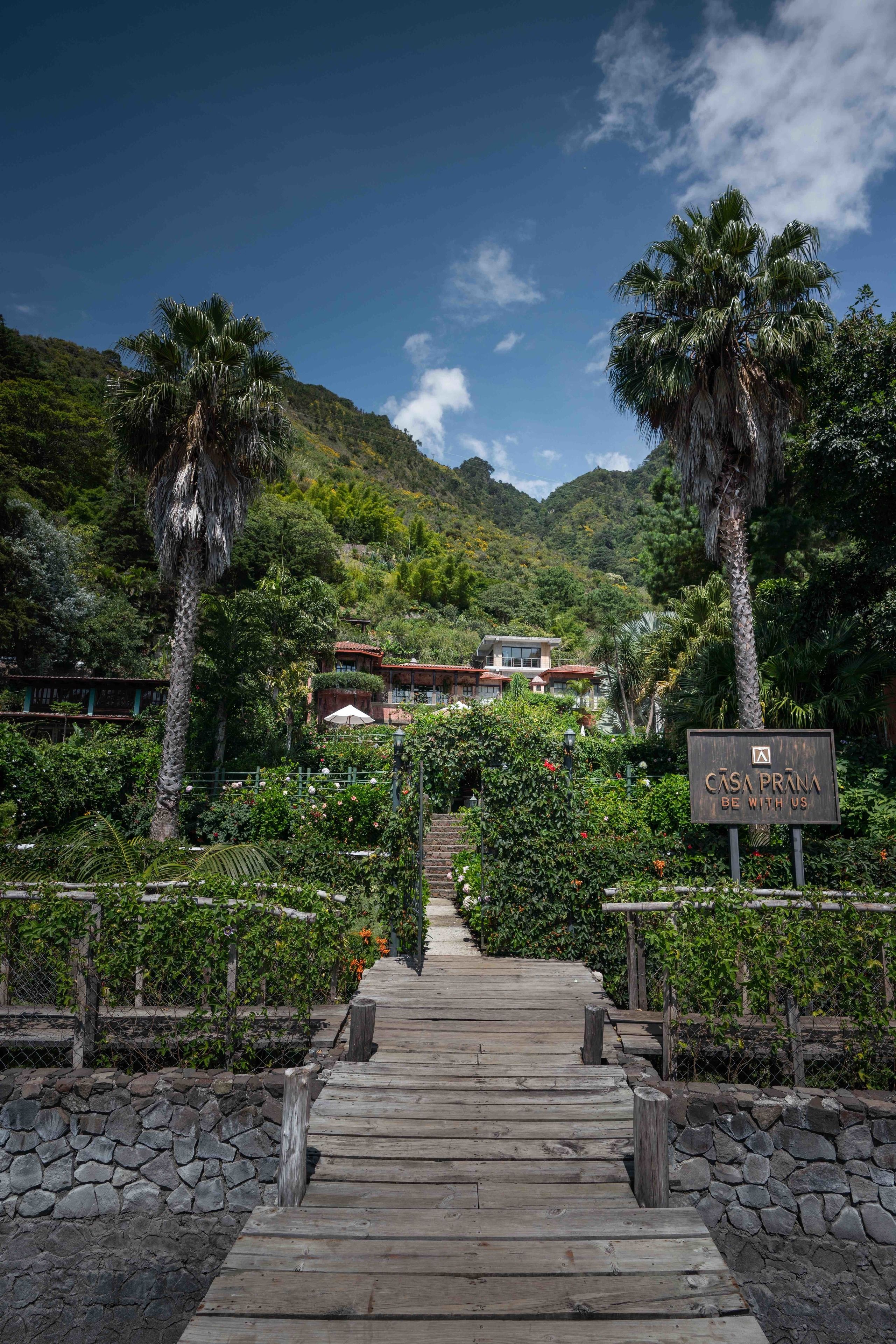 A wooden pathway leading to a building labeled "CASA PRANA" amidst lush greenery and palm trees.