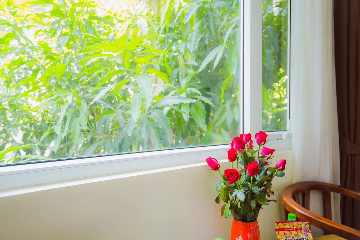 A window with a view of green foliage, a vase with red roses, and a chair.