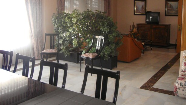 A conference room with a large potted plant, a television on a cabinet, and a dining table with chairs. - Hostal Serpol (Palencia)