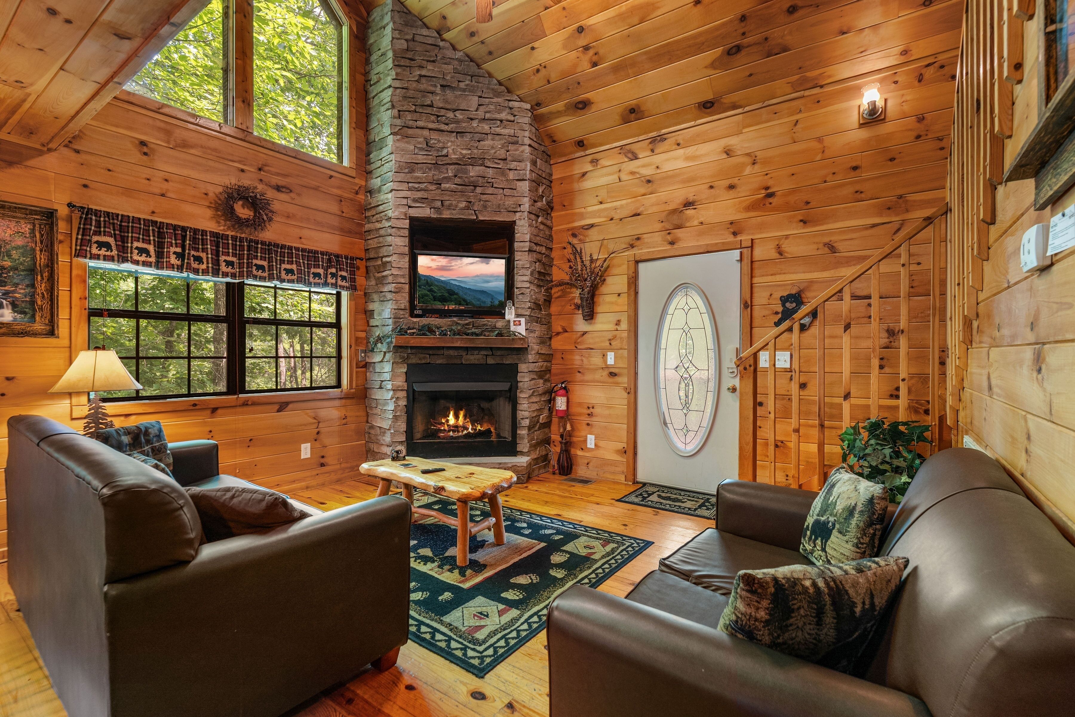 TV, fireplace, video games