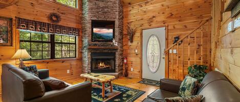 TV, fireplace, video games