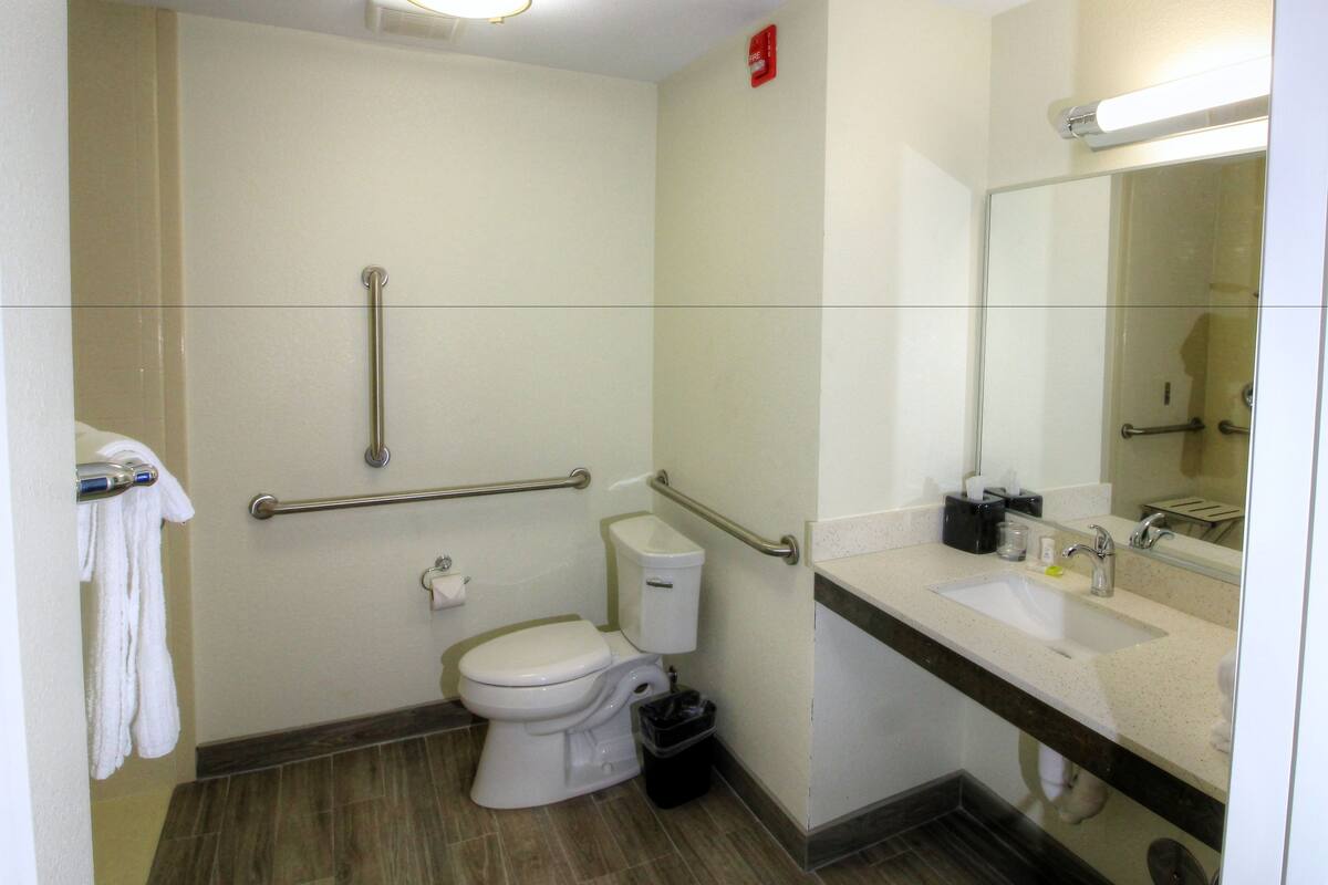 Une salle de bain équipée de toilettes, de barres d’appui, d’un lavabo et d’une poubelle.