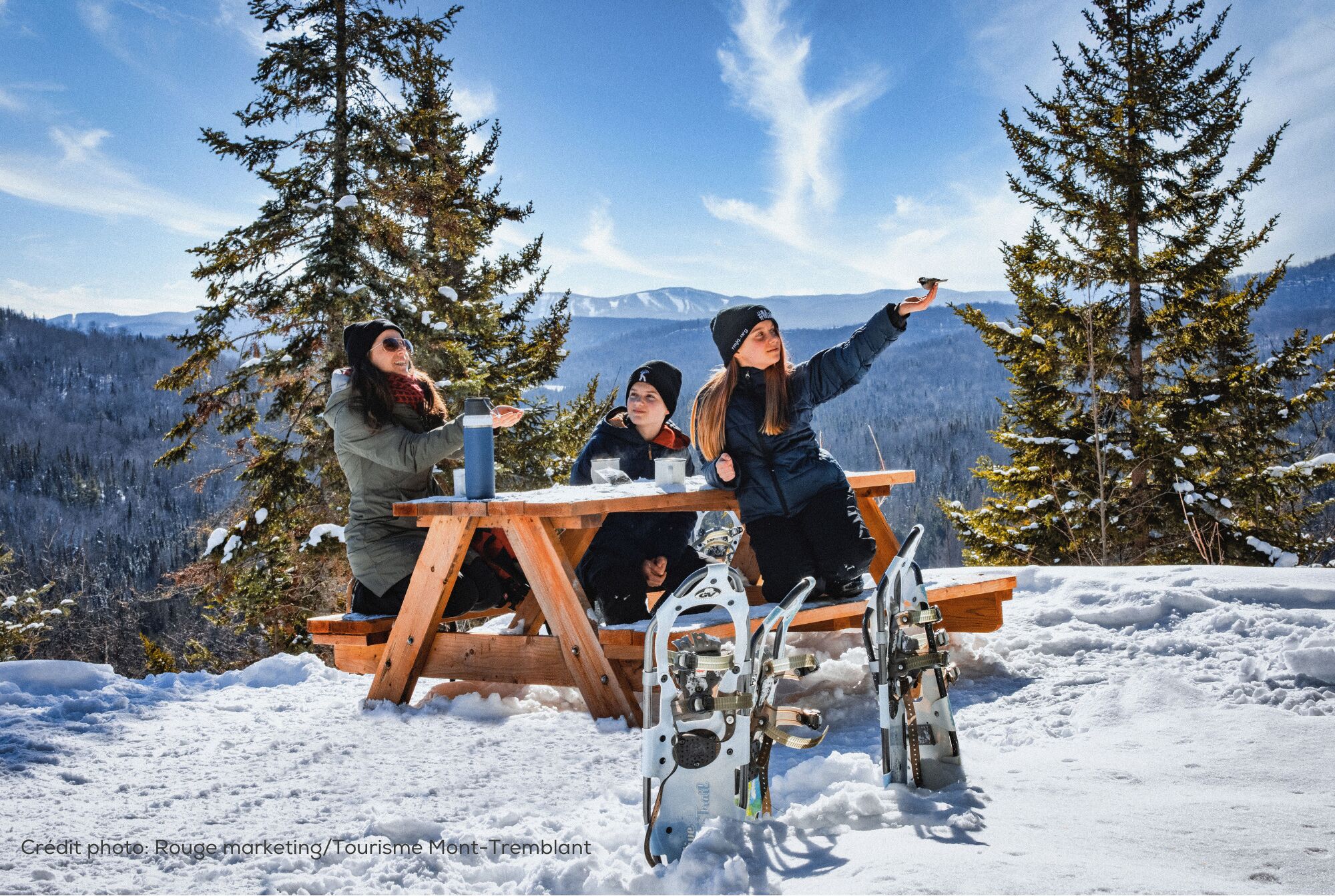 A wooden picnic table with metal snowshoes in a snowy landscape with trees and mountains in the background.