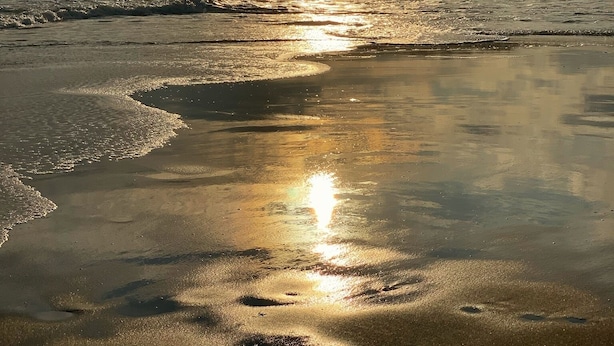 Una playa con el sol reflejado en la arena húmeda, un mar tranquilo y una línea de árboles distante bajo un cielo nublado.