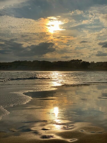 Enjoy Southern Charm. Affordable, Well Appointed Condo In Pawleys Plantation 