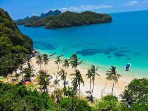 A tropical beach with clear turquoise waters, palm trees, and boats.