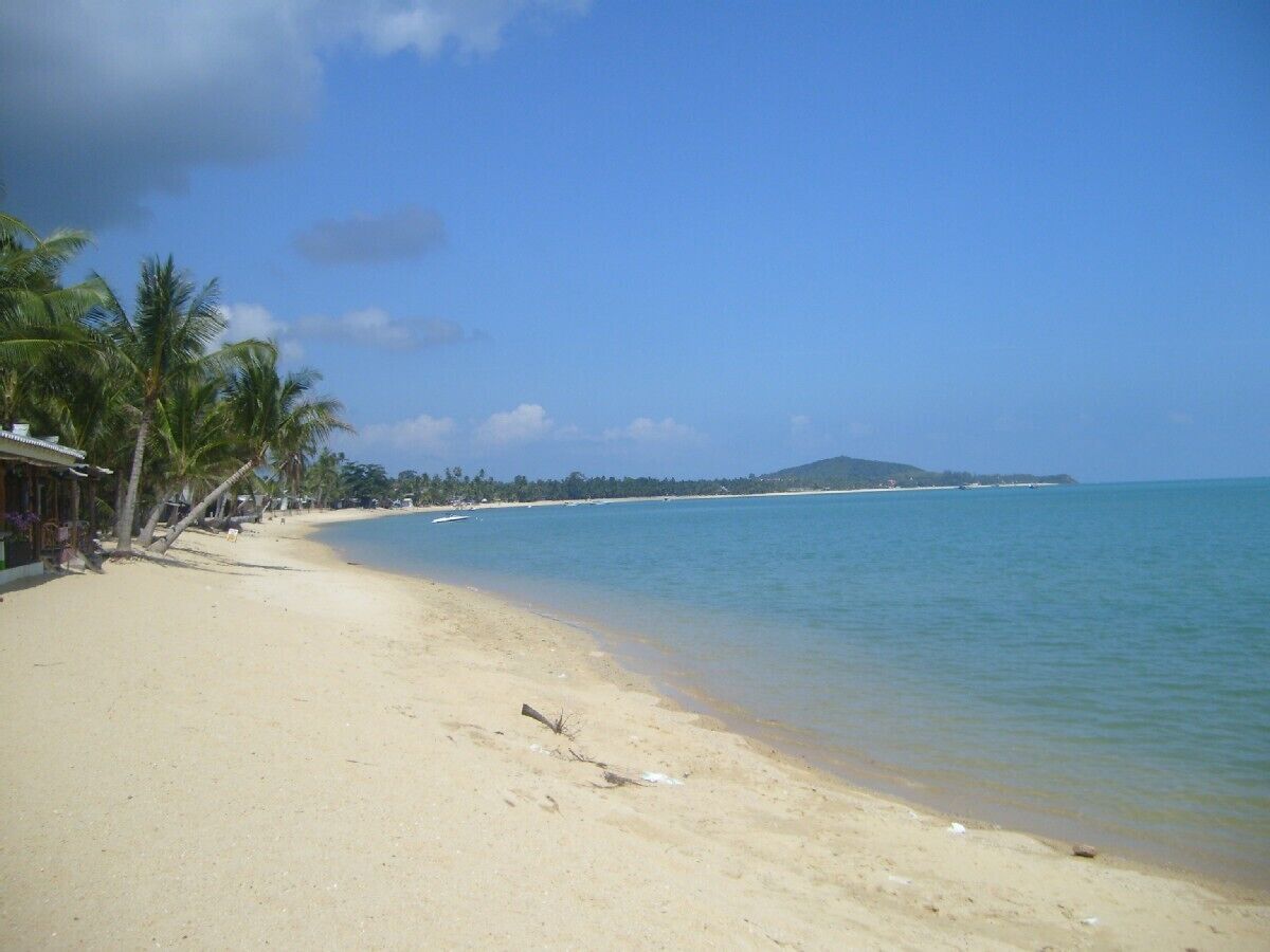A beach with a clear sky, palm trees, and a calm sea.