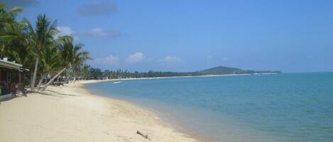 A beach with a clear sky, palm trees, and a calm sea.