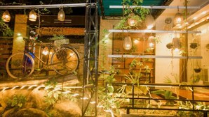 A rustic interior with a bicycle, hanging plants, and a sign reading "Song Toons." - Song Toan Hotel (Phong Nha)