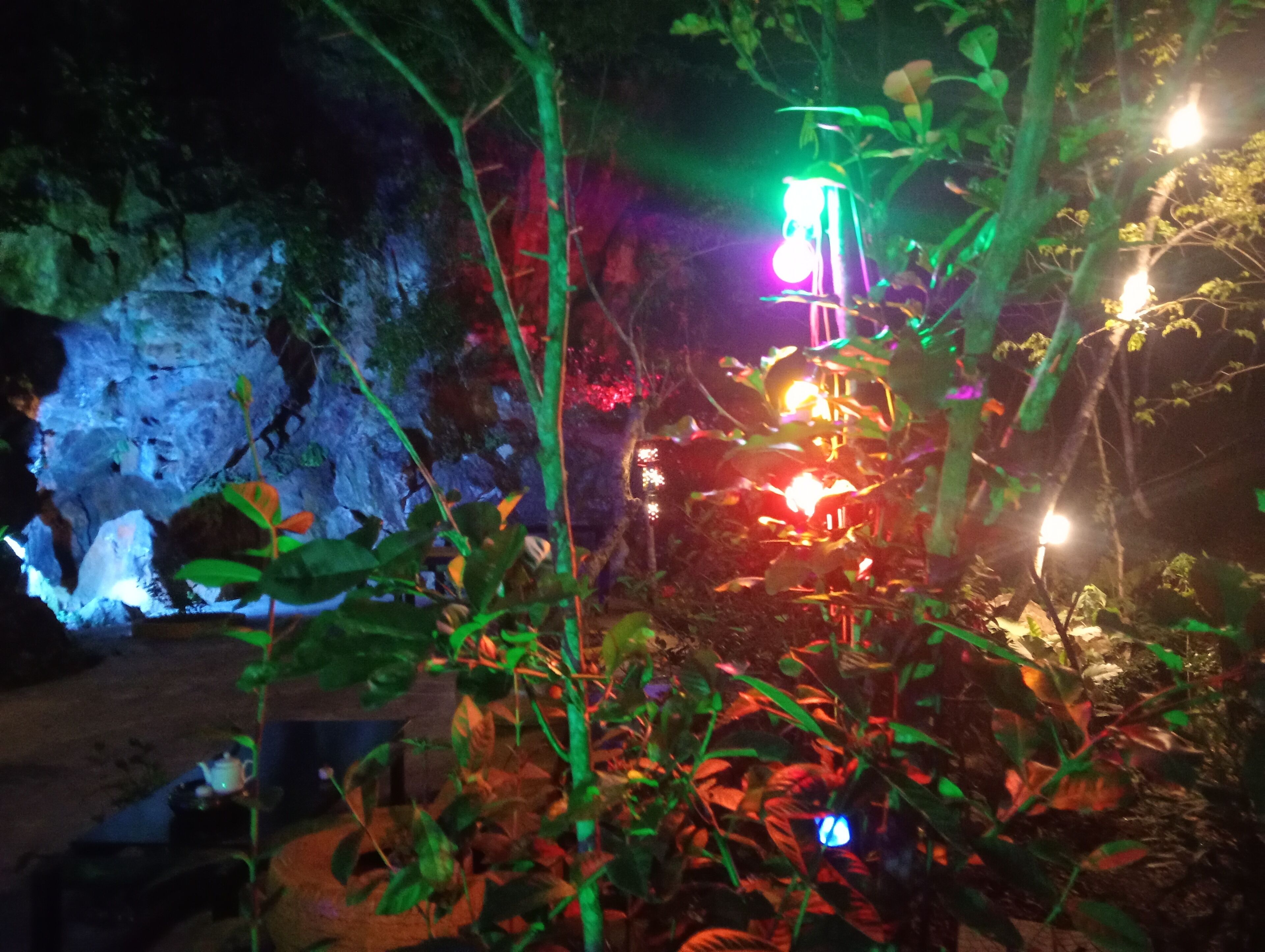 A dimly lit garden with a rock formation and a small water feature.