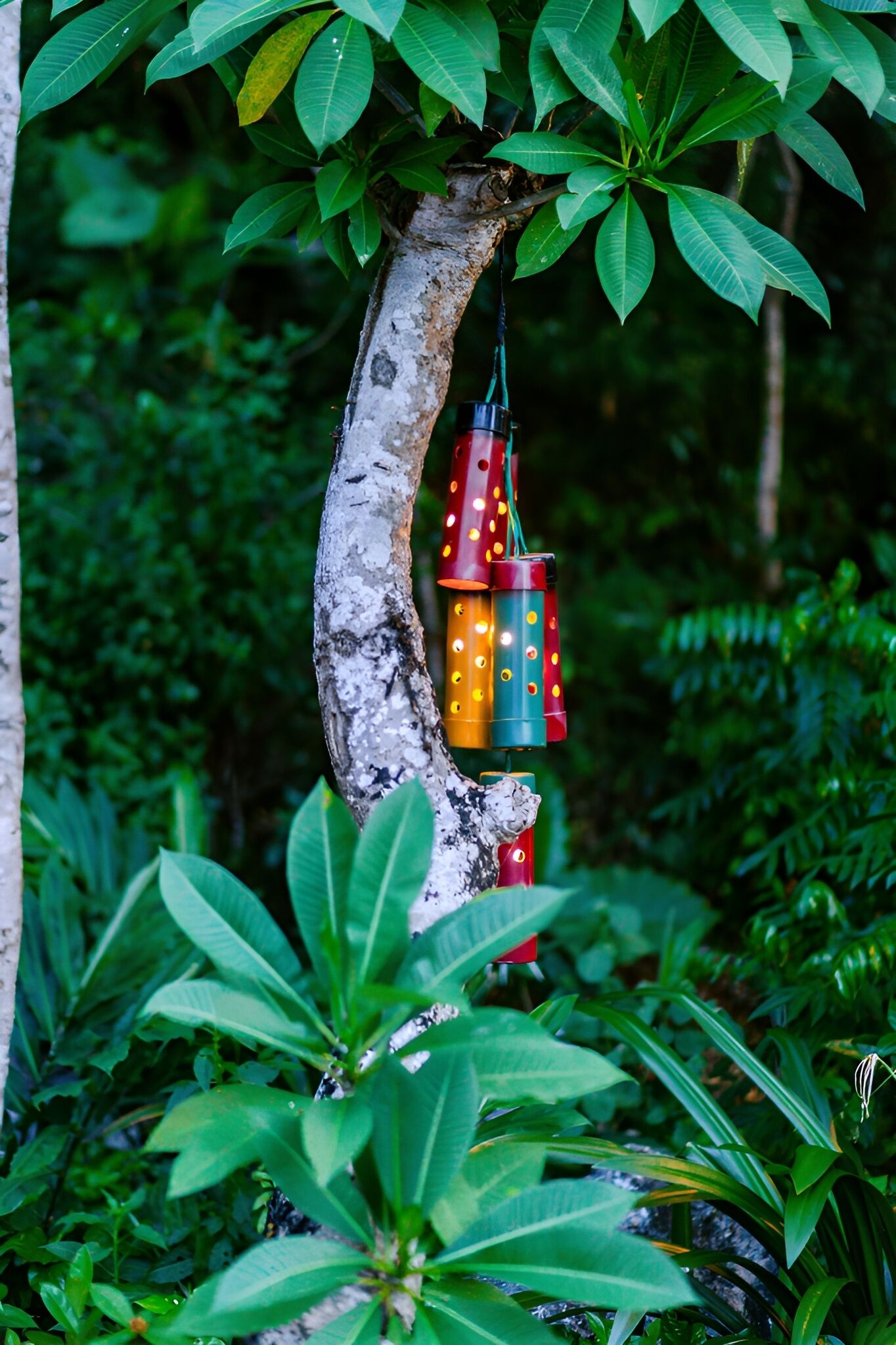 A tree with hanging lanterns.