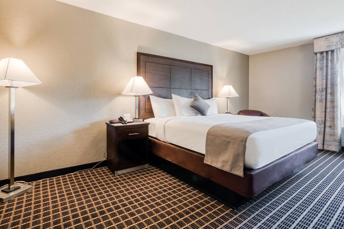 Een hotelkamer met een groot bed, twee bedlampen, een nachtkastje met een telefoon en een kamerbreed tapijt met een patroon.