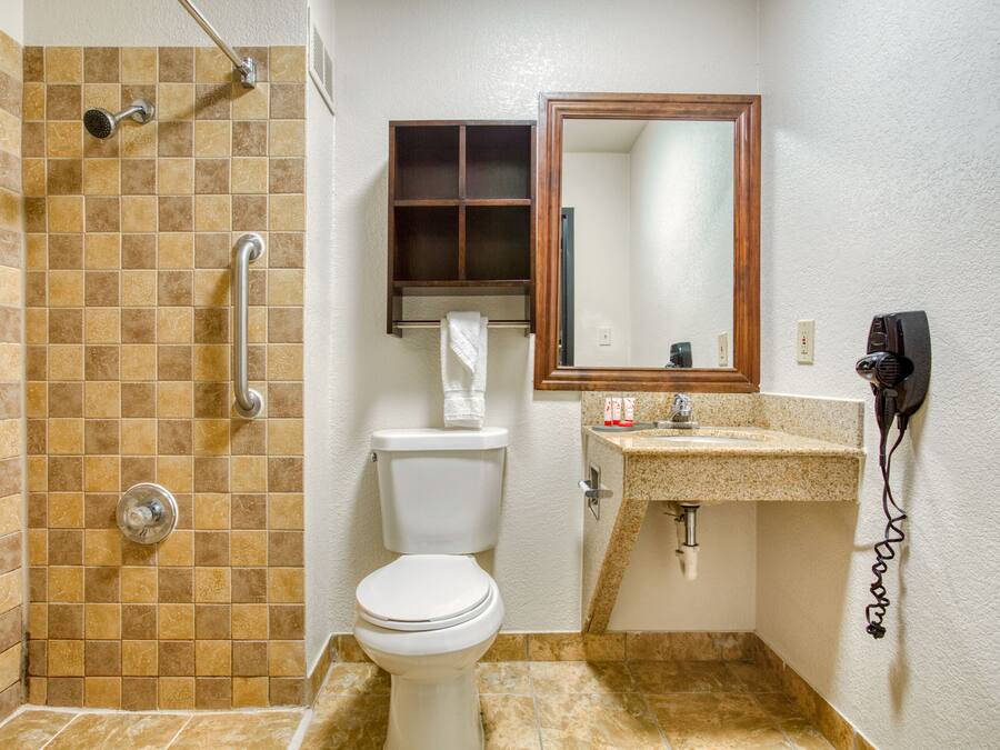 A bathroom with a shower, toilet, sink, and a mirror.