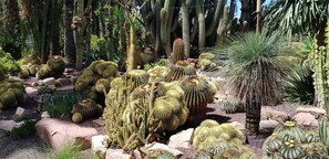 Property grounds -  Peacefully located romantic apartment Sierraymar (Nijar)