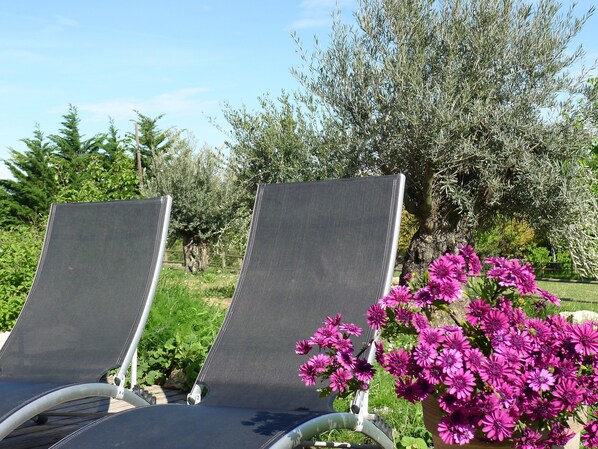 Two lounge chairs with a metal frame and a dark fabric seat, positioned outdoors with a backdrop of green foliage and a tree.
