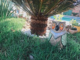 Un jardín con una palmera y una estatua decorativa de un búho.