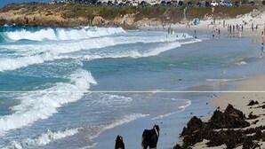 Une plage avec des vagues, un chien et, au loin, un bâtiment portant l’inscription « Mar Luna ».