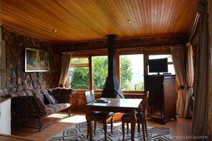 32-inch flat-screen TV with cable channels, TV, toys