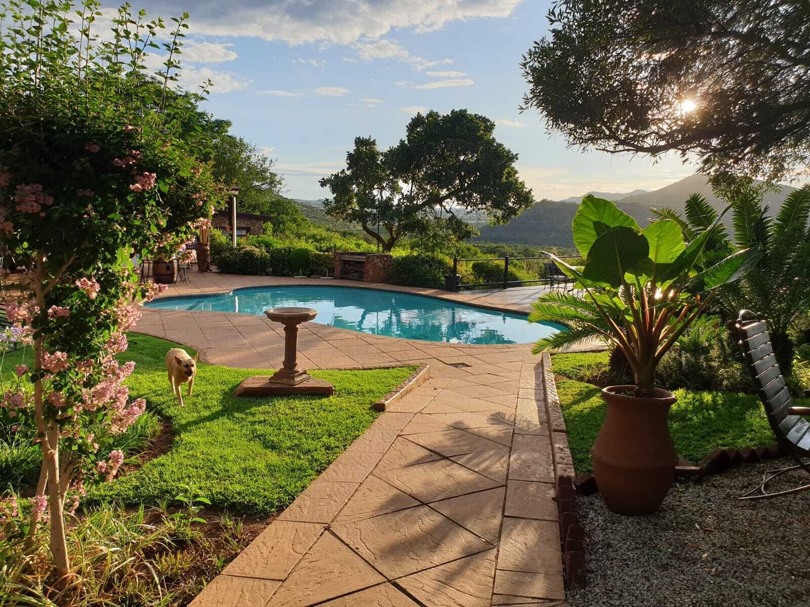 Un jardin avec une piscine, une terrasse en pierre et une végétation luxuriante.
