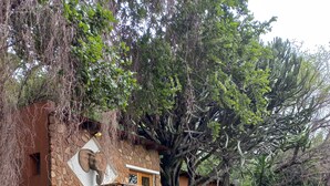Um edifício de pedra com porta de madeira e escadaria que leva a uma varanda.