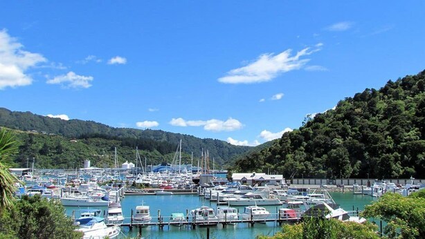 A marina with numerous boats docked, surrounded by lush greenery and hills. - 3 & 4 Bedroom Houses in Seaview Crescent (Picton)