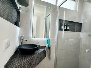 Regadera, amenidades de baño ecológicas, secadora de cabello, toallas