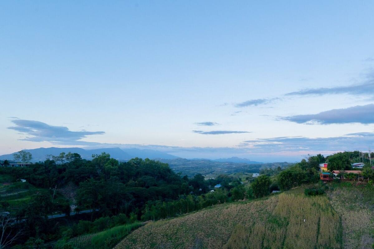 Ländliche Landschaft mit einem Hügel, Bäumen und einigen Gebäuden in der Ferne.