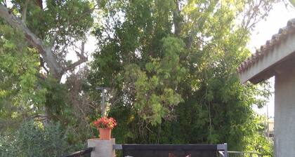 Sorrapa House C/L'Havana,139-147