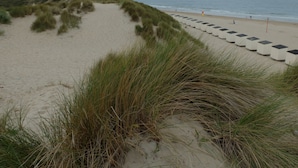 A sandy beach with dunes and a row of white planters along the shore.