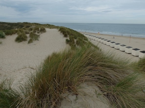 Una playa cerca