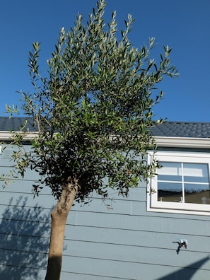 Detalle exterior