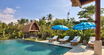 5 * Luxury villa with swimming pool and Wifi, fantastic staff, beach accessible