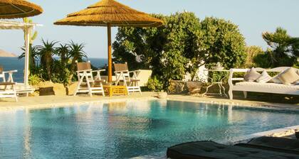 SEA & SUN A Quality Brand Certified Villa 150 meters from Agia Anna Beach