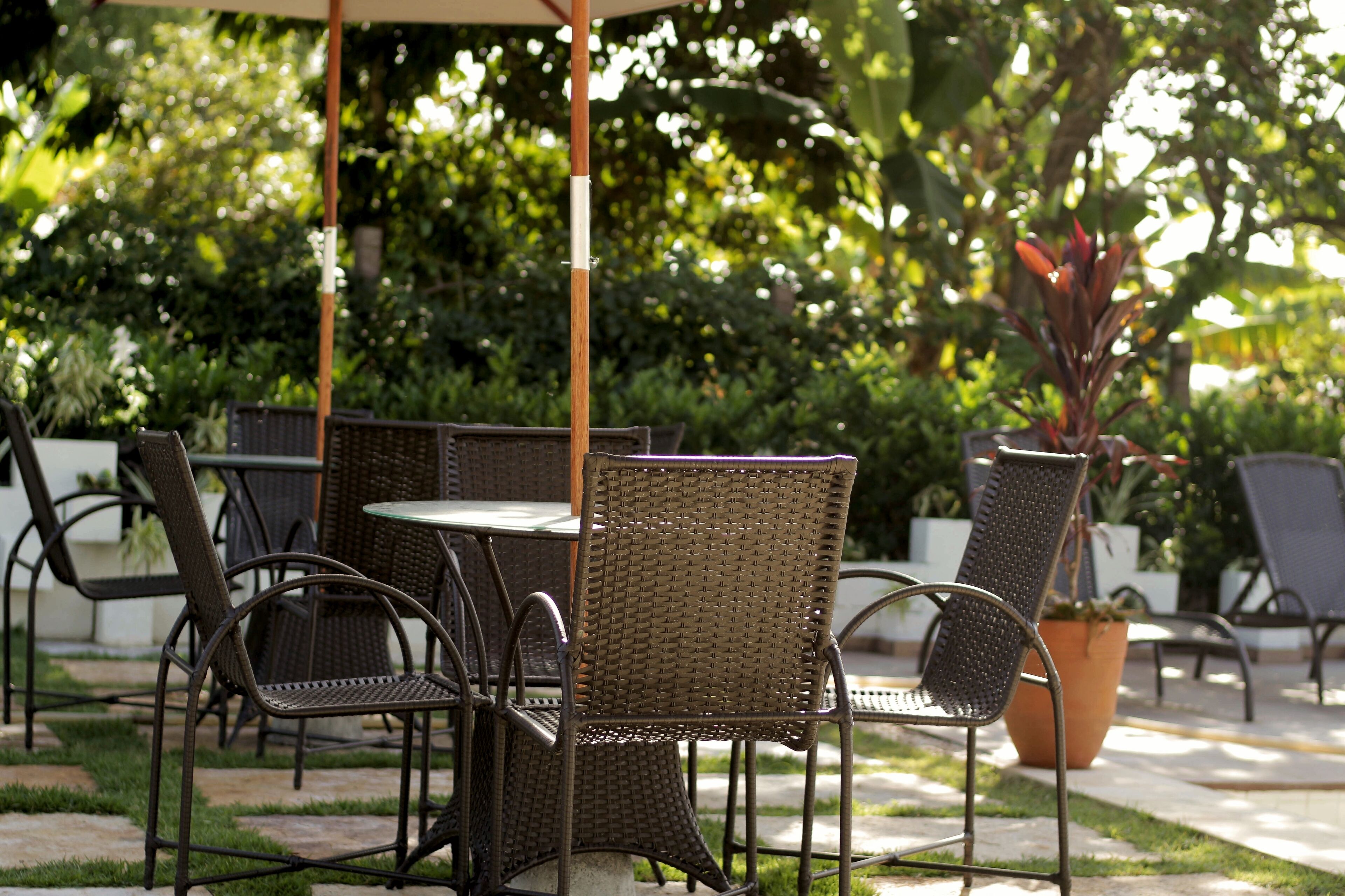 Un patio al aire libre con mobiliario de mimbre y una planta en maceta.