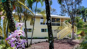 A two-story building with a yellow exterior, surrounded by tropical vegetation and a gravel path. - Large comfy house big enough for 2 families next to ocean on Kaloli point (Keaau)