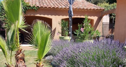 pleasant house for holidays with friends or family in Provence