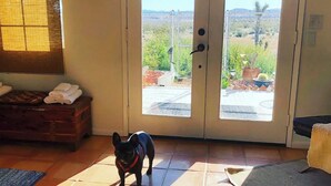 En hund står i et rum med udsigt gennem en glasdør.