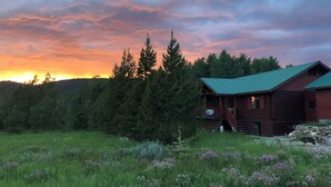 Una cabaña rústica con techo verde, rodeada por un campo verde exuberante y un bosque denso.
