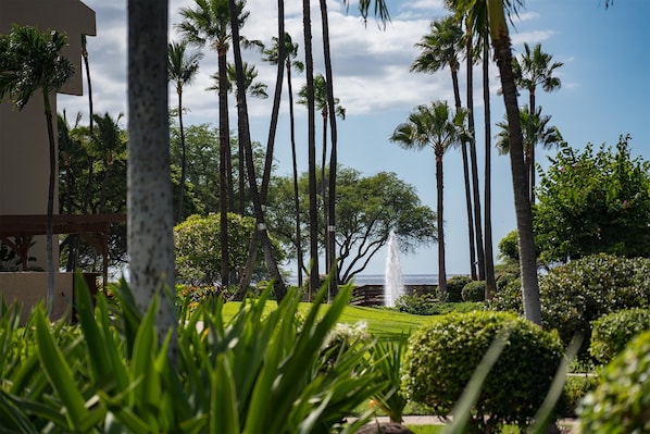 Un jardin luxuriant, avec de grands palmiers, une fontaine et une vue sur l’océan.