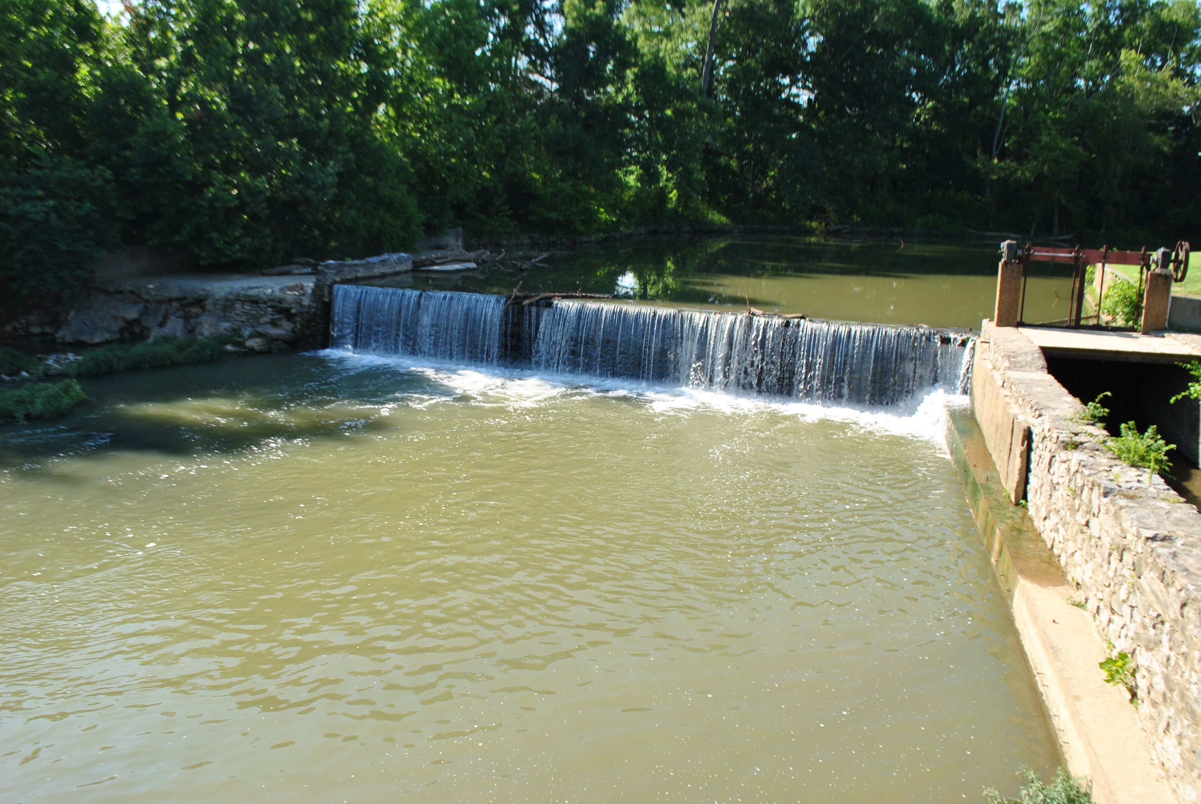 A waterfall cascading into a river surrounded by dense greenery.