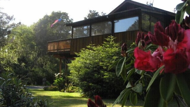 A house with a wooden deck and a glass enclosure, surrounded by lush greenery and red flowers.