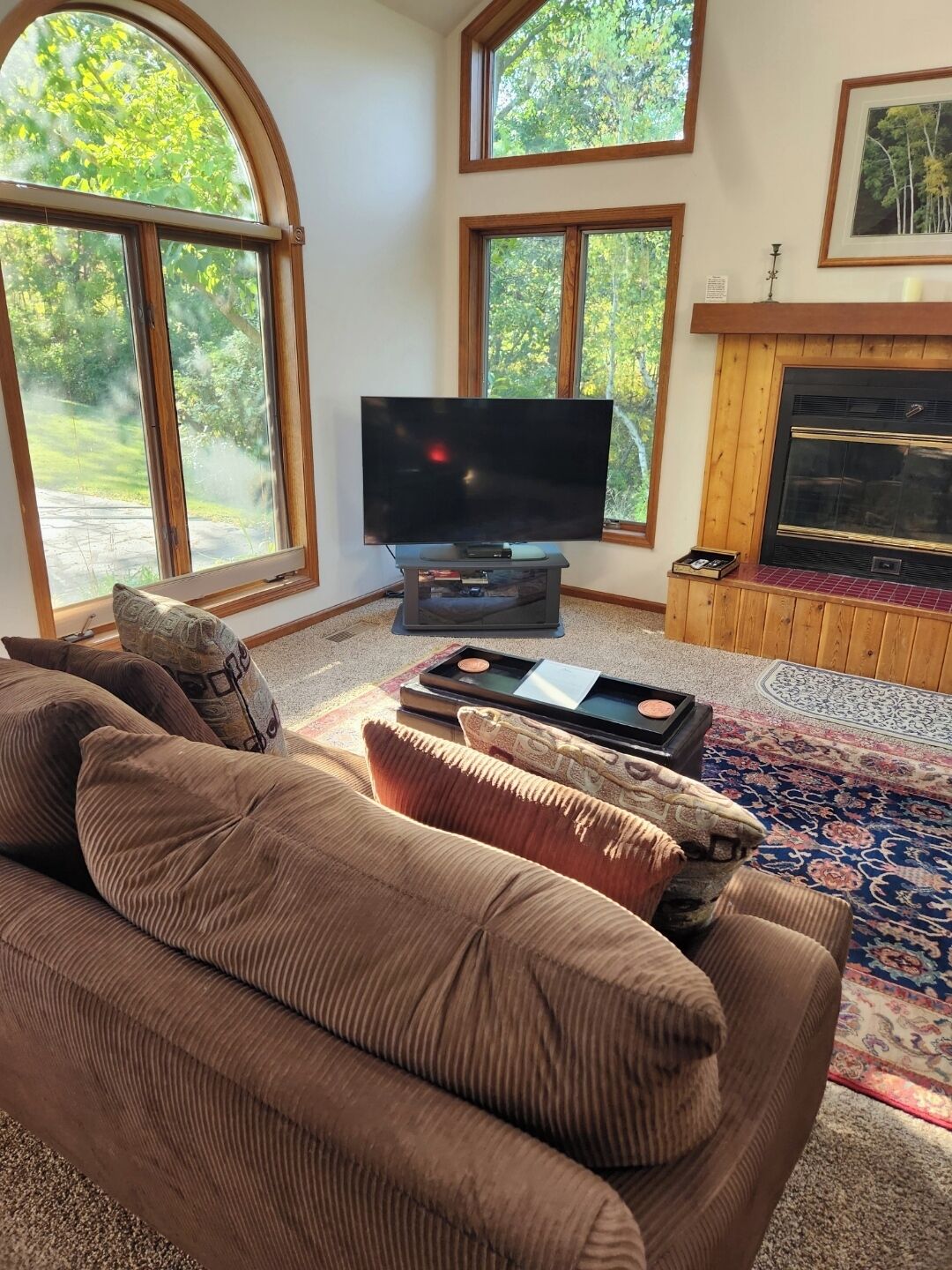 Smart TV, fireplace, DVD player, video library