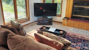 Smart TV, fireplace, DVD player, video library