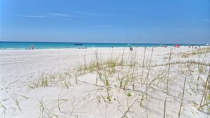 Ein Strand mit Dünen, wolkenlosem Himmel und ruhiger See.