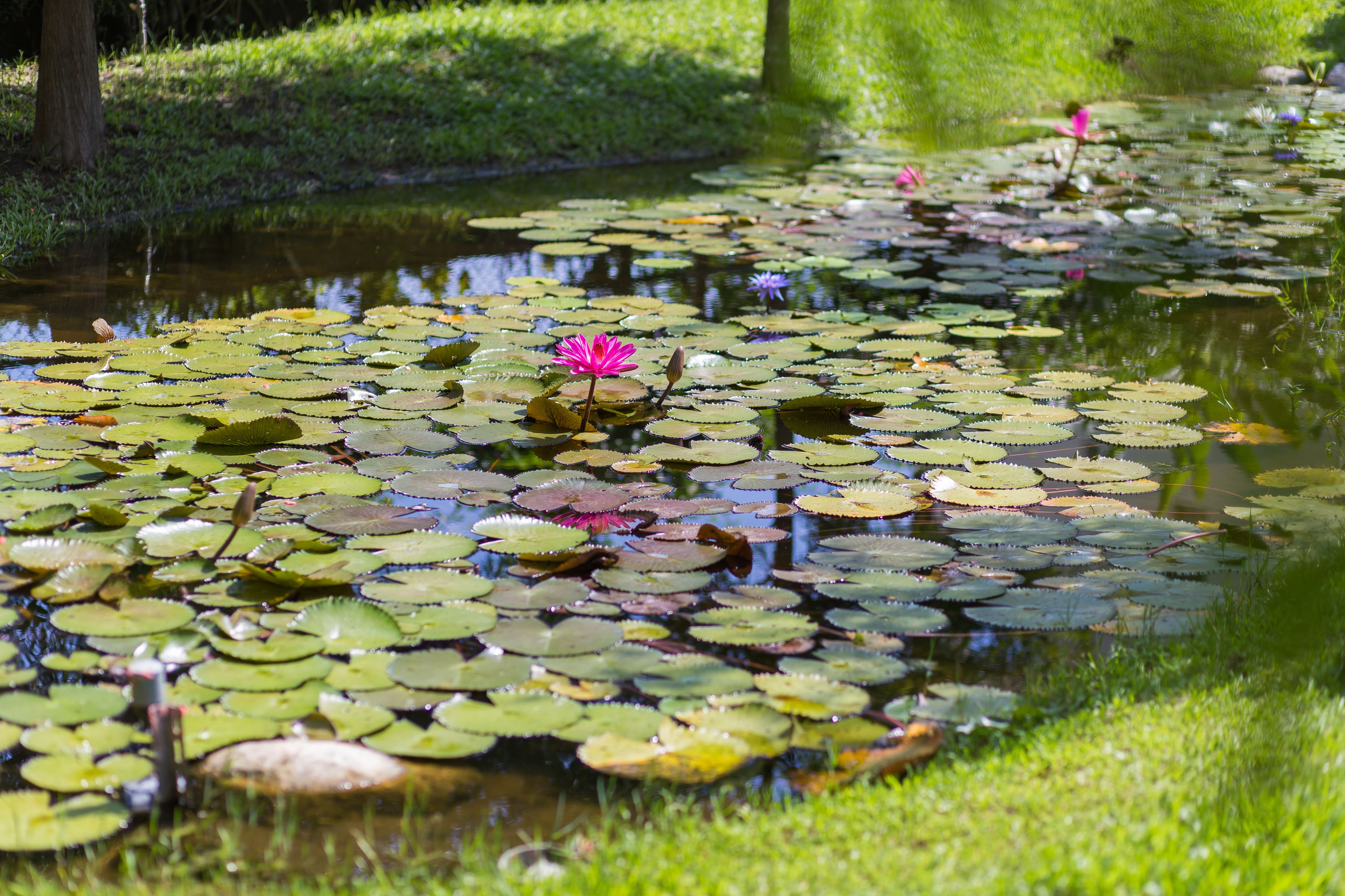 Vista desde la propiedad