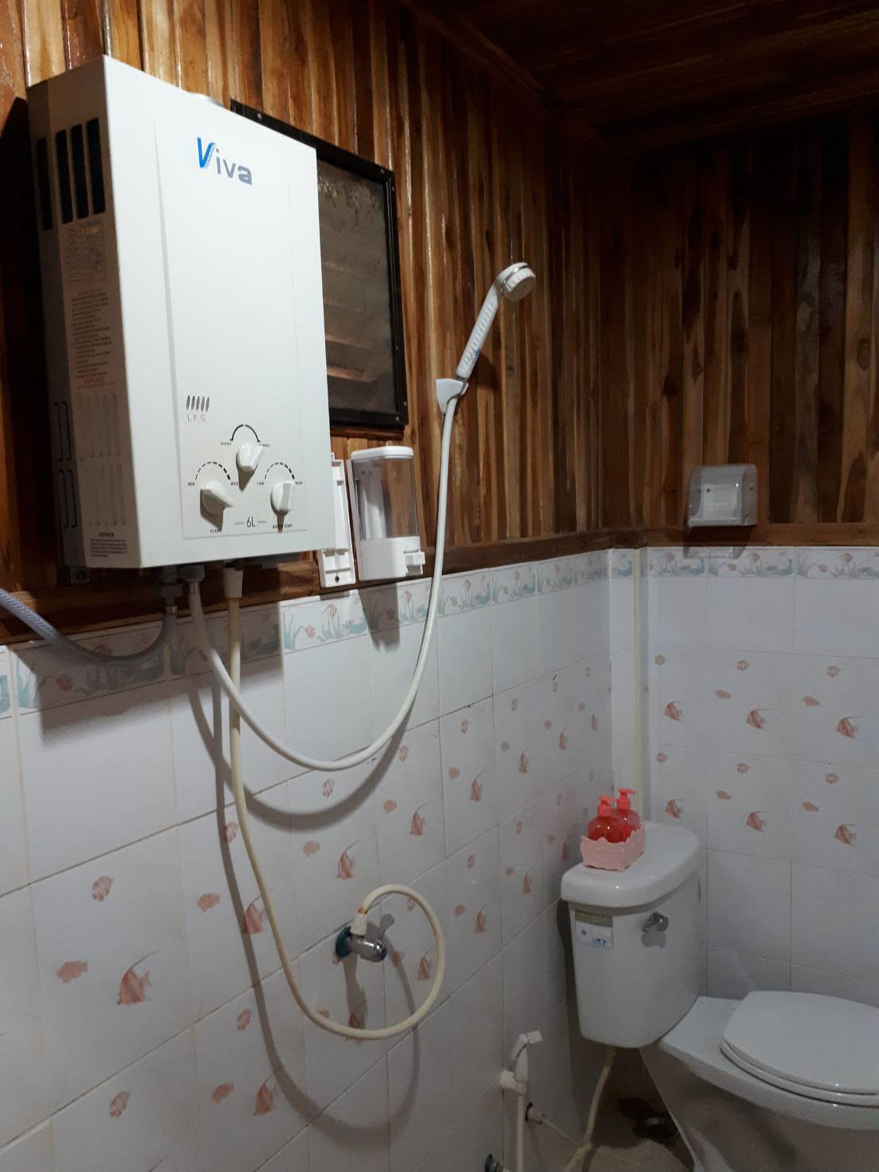A bathroom with a white toilet, a shower with a white hose, and a white water heater labeled 'Viva' mounted on the wall.