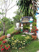 A garden with a stone fountain, various plants, and a sign with text.