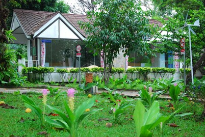 Baanraiingdoi