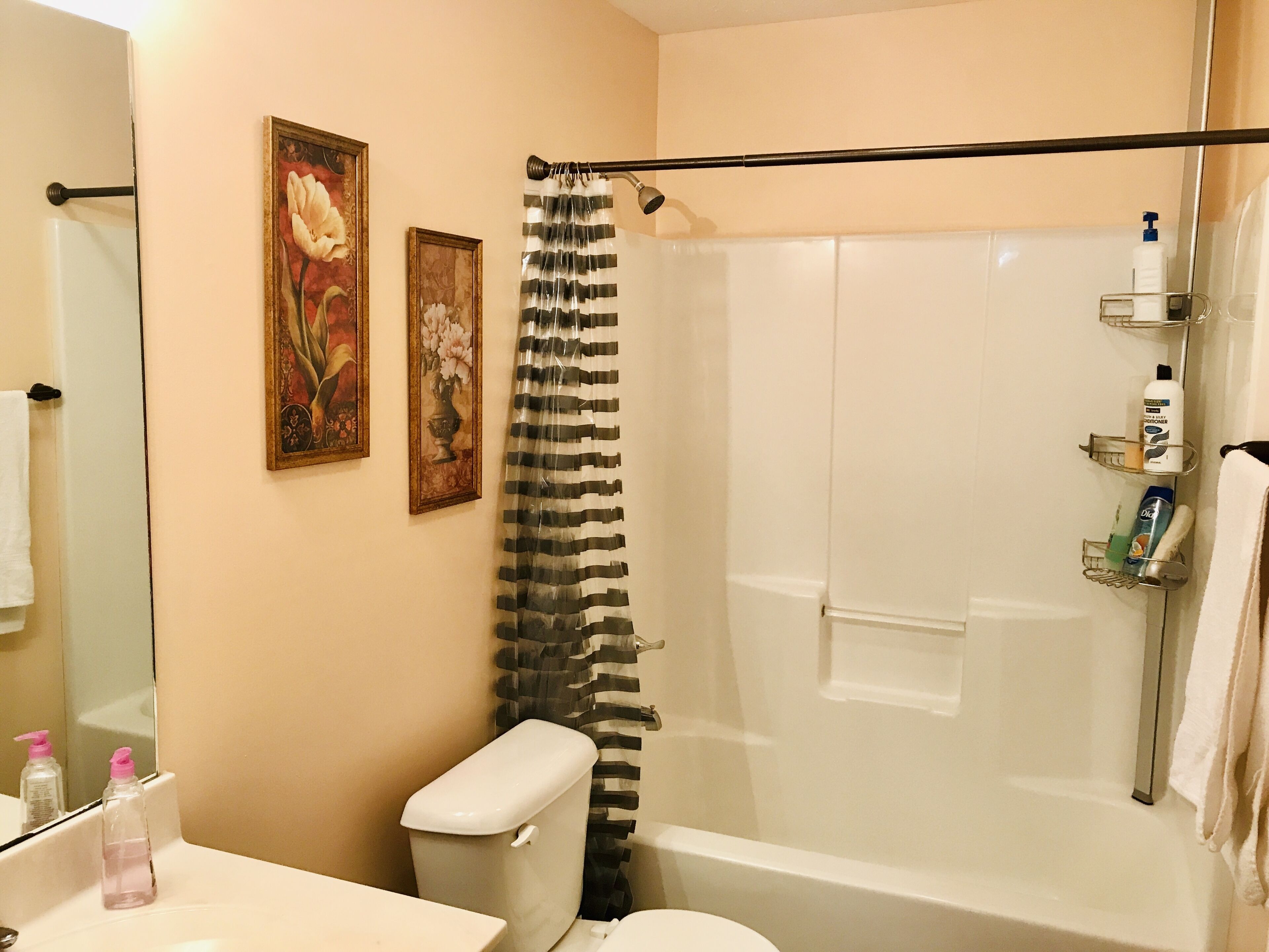 Un baño con ducha, inodoro, lavabo y dos cuadros en la pared.